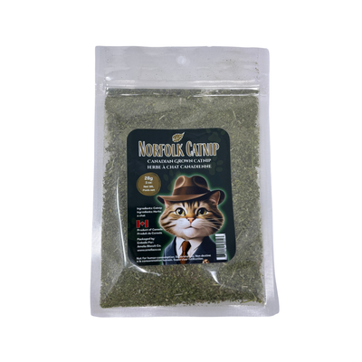 Norfolk Catnip